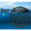 Sun Aquaculture Products 