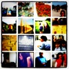 16Pics