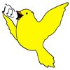 Canary 
