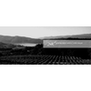 DWE Luxury Wine Group 