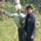 Venkatesh K S