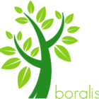 Boralis BV