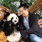 David Cheng