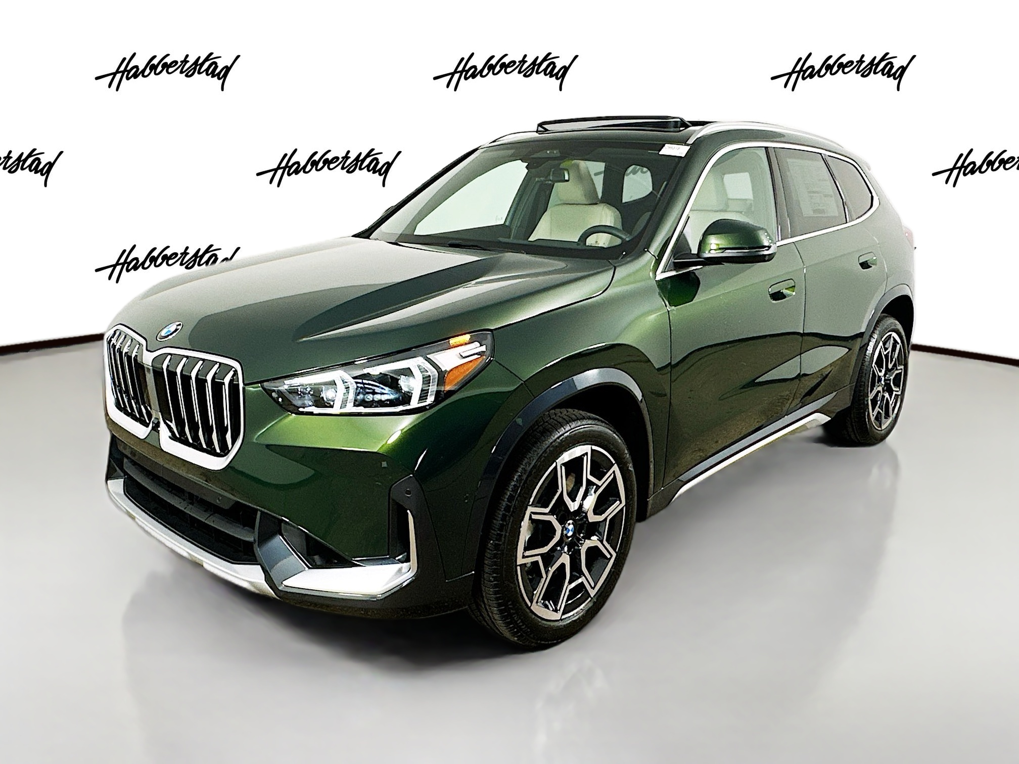 New San Remo Green Metallic 2025 BMW X1 xDrive28i for Sale in