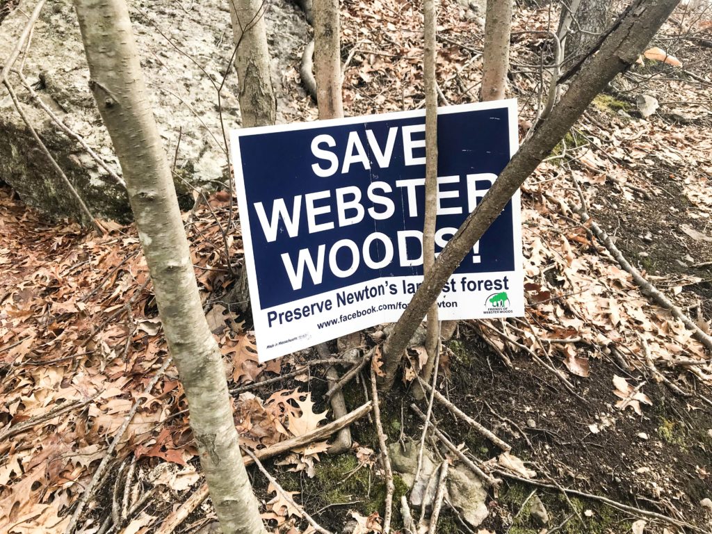 Newton Mayor Seeks 15 7 Million To Take Land From Via Eminent Domain The Heights