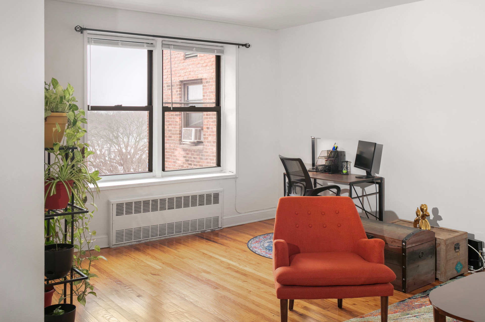 3500 Snyder Avenue East Flatbush Brooklyn NY 11203