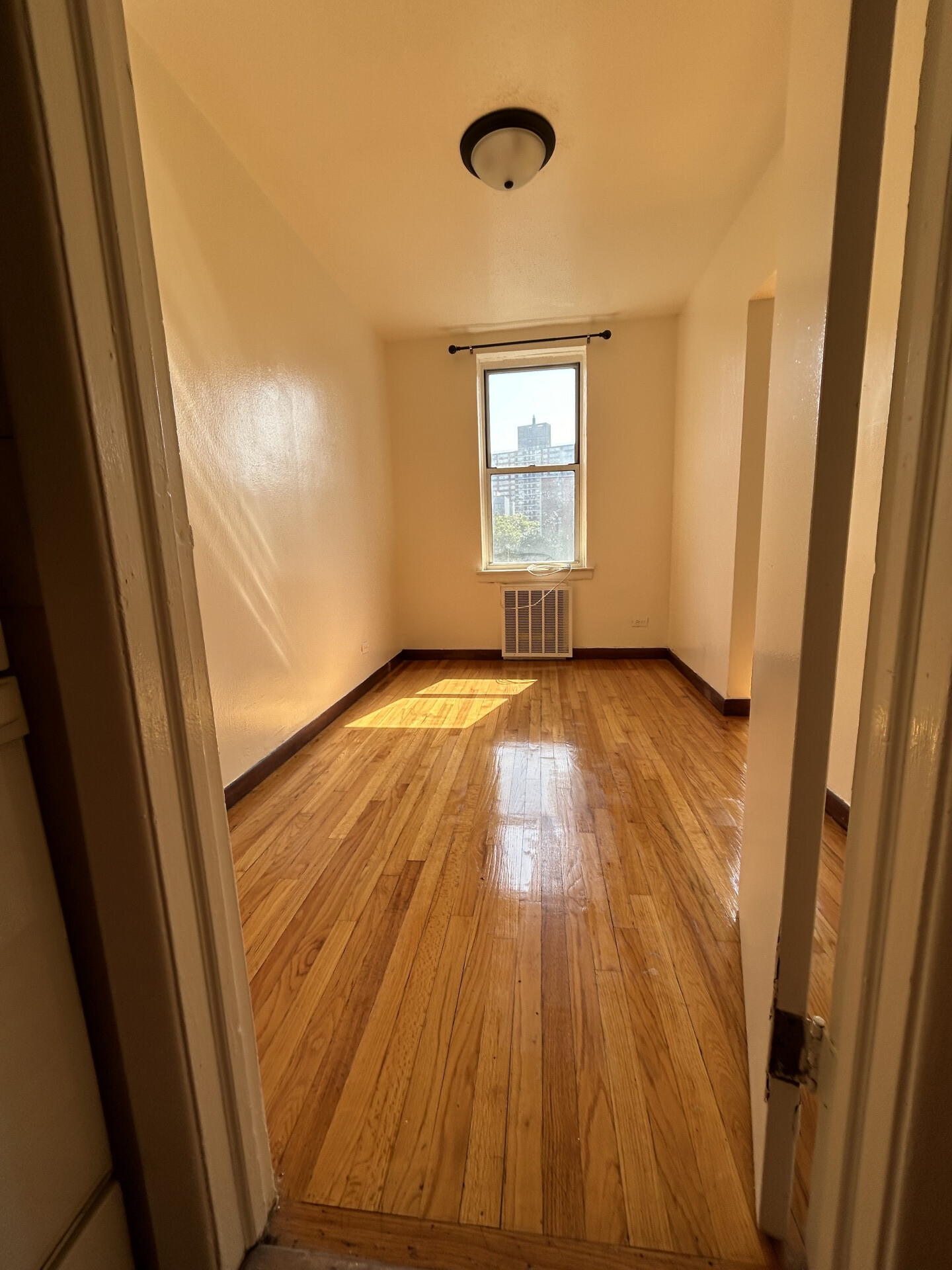 2385 Barker Avenue Morris Park Bronx NY 10467