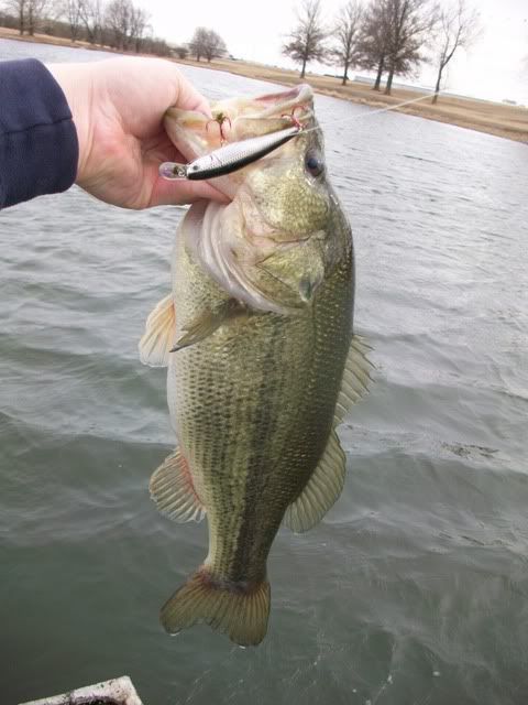 A photo of Patrick  walker's catch