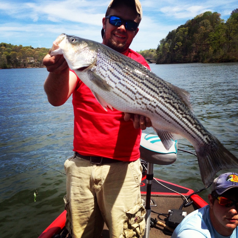 A photo of Austin Sellers's catch