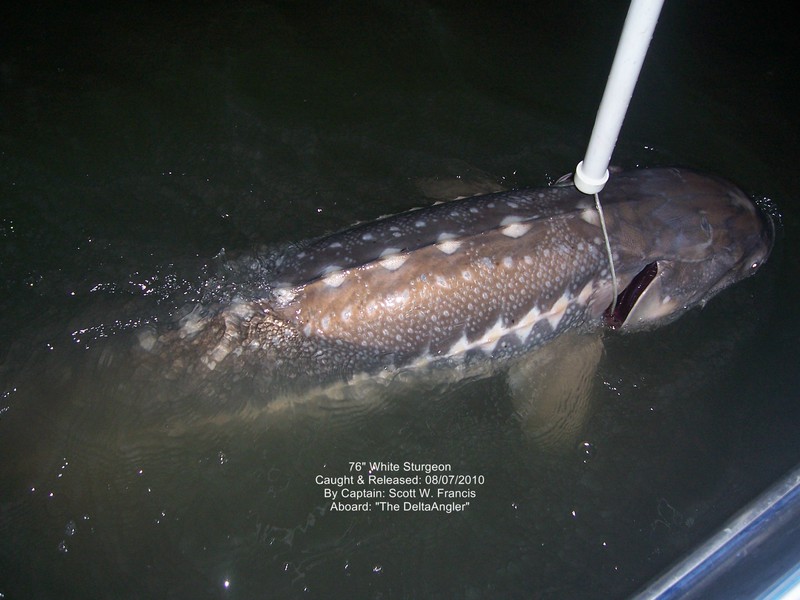 A photo of Scott Francis's catch