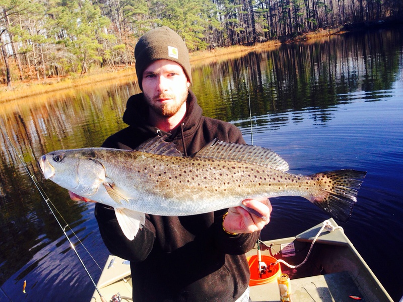Caught a Speckled Trout on Elizabeth River using a Lure