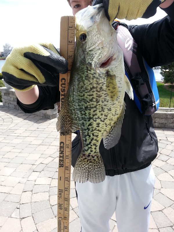 A photo of gregory leroux's catch