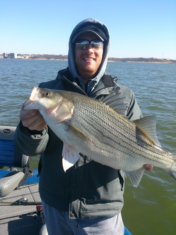 Caught a Hybrid on Benbrook Lake using a fluke