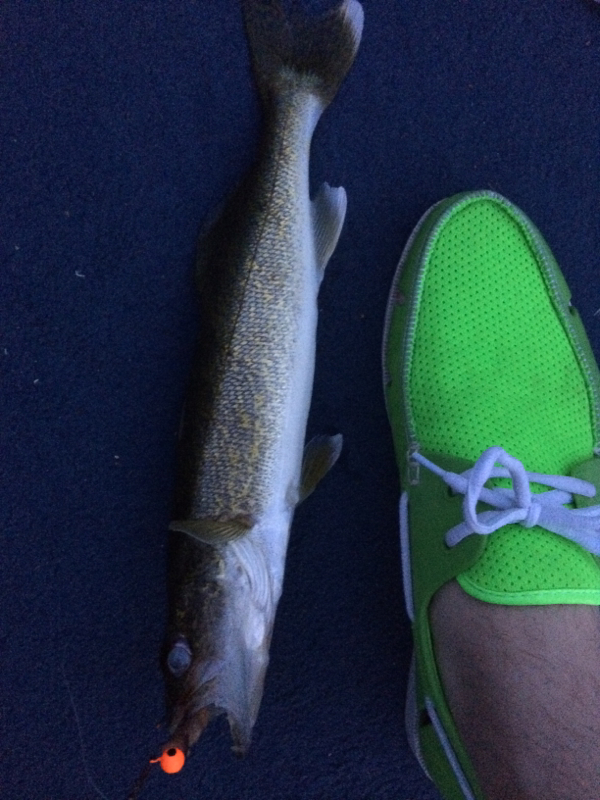 Caught a Walleye on Big Creek Lake using a Jig and worm
