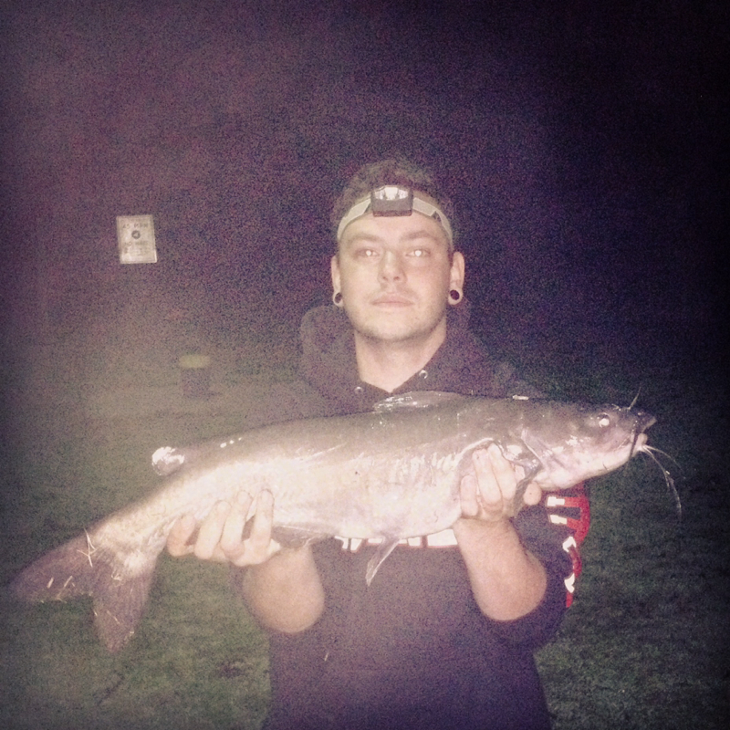 Caught a Channel Catfish on Mohawk River Schenectady using a chicken liver