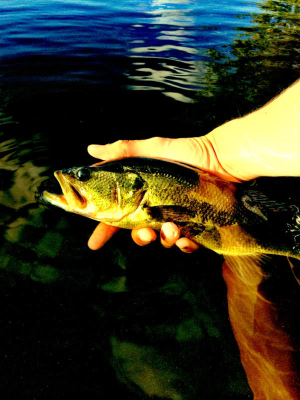 A photo of Cody Rubner's catch