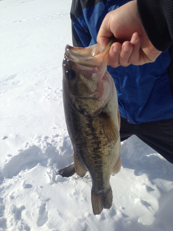 A photo of Matt Brewer's catch