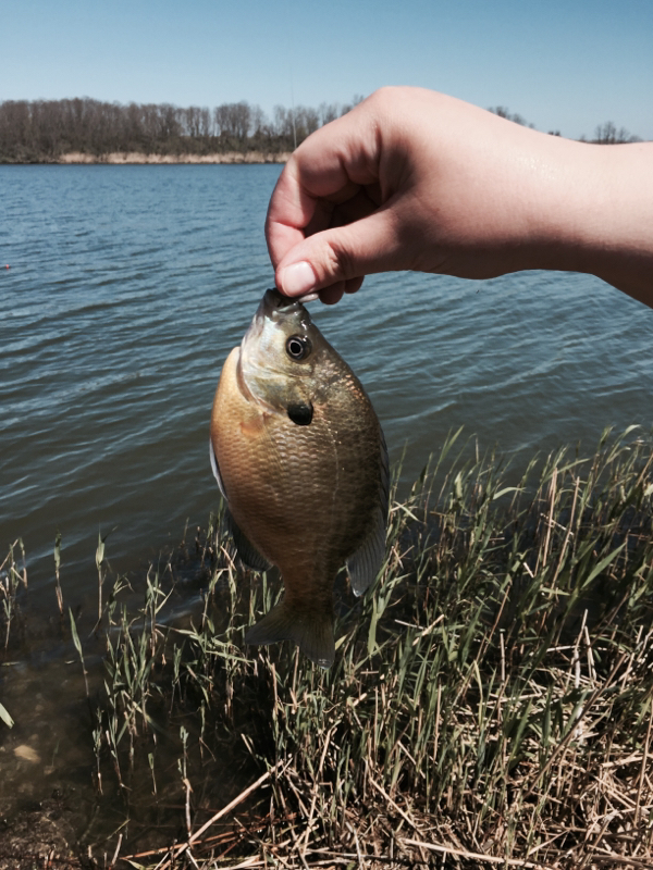A photo of Patti Malecki's catch