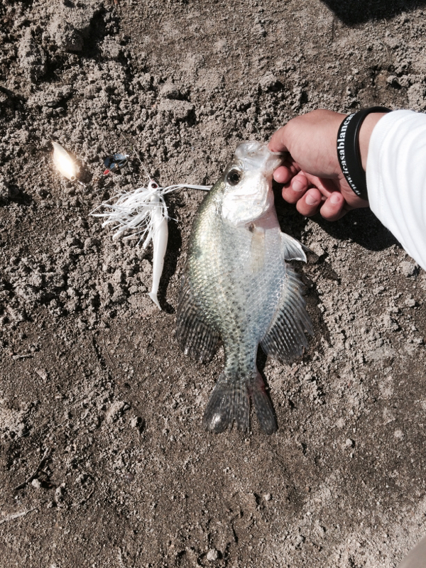 A photo of Anthony  DuraZo 's catch