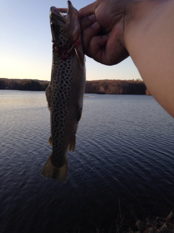 A photo of Anthony Wells's catch