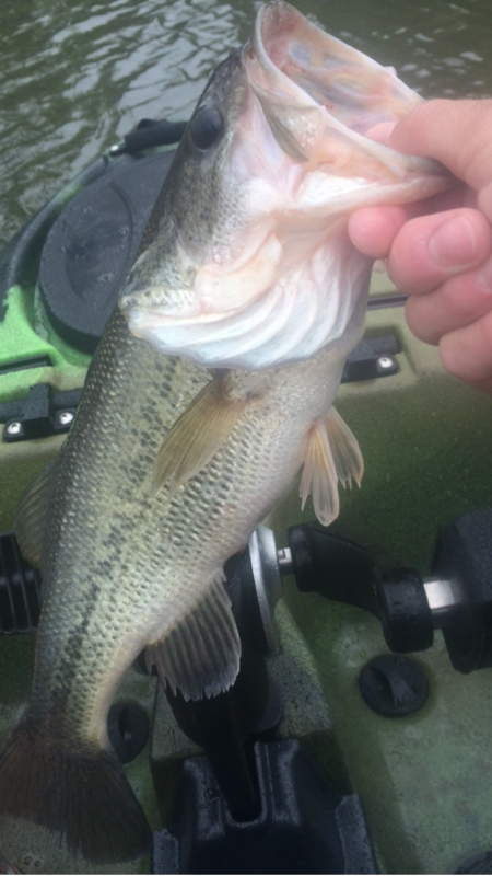 A photo of Tally Gant's catch