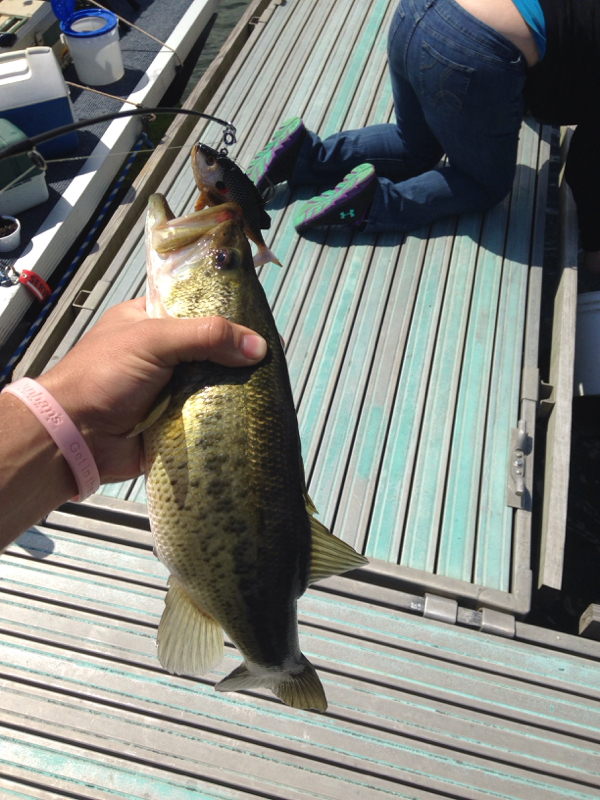 A photo of Nick Ayres's catch