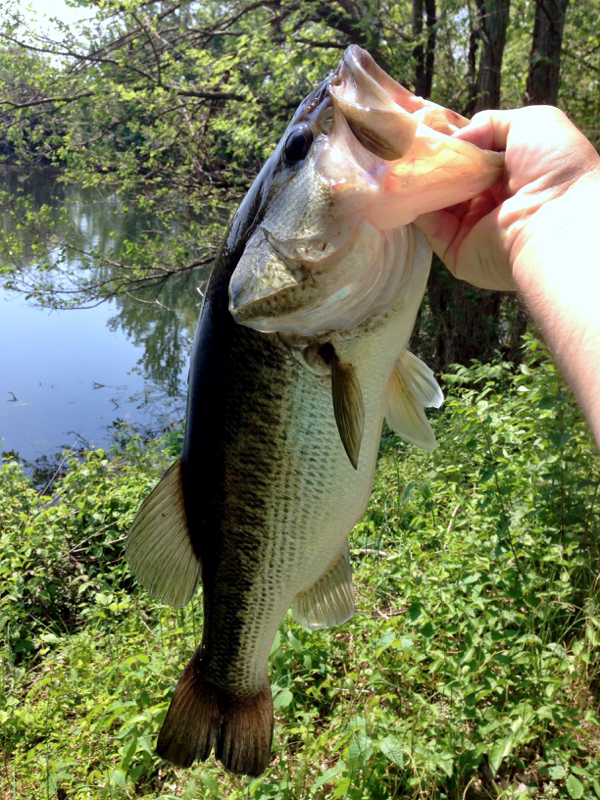 A photo of sean sebastian's catch