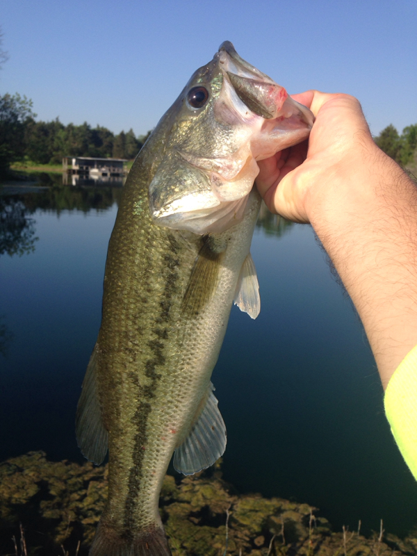 A photo of sean sebastian's catch