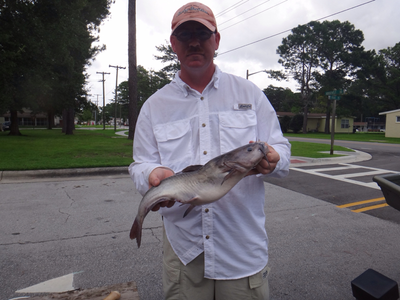Caught a Catfish on Slocum Creek using a finger mullet