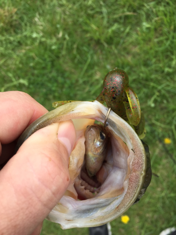 A photo of Omar Garcia's catch