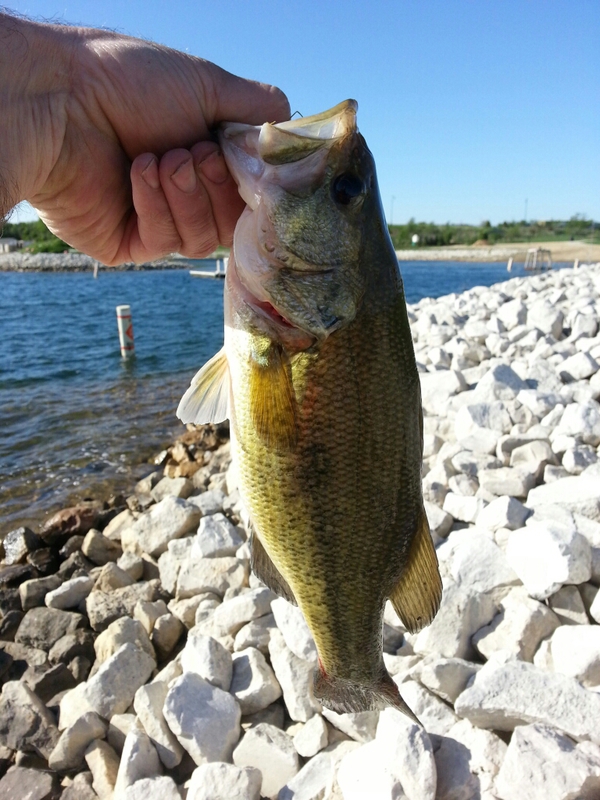 A photo of Harry Buzinski's catch
