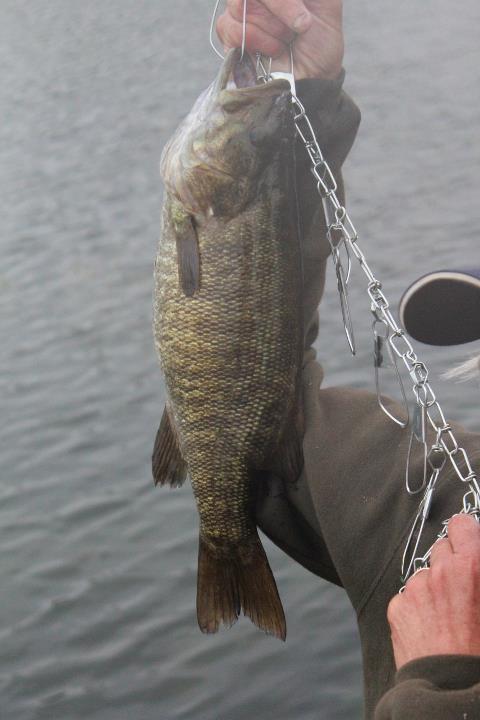 A photo of Al Kandziorski's catch