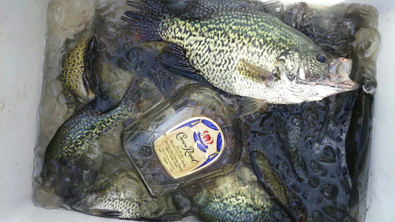 A photo of Jameel Williams's catch