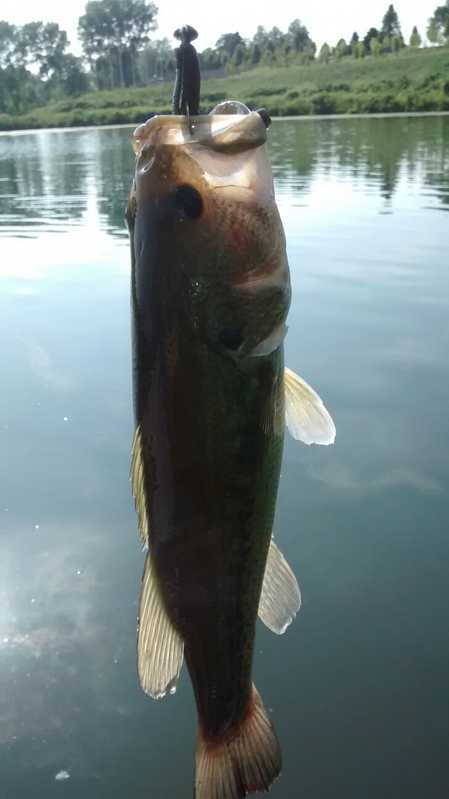 A photo of jim bell's catch