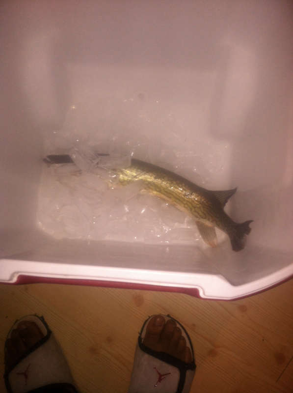 A photo of Elijah Parker's catch