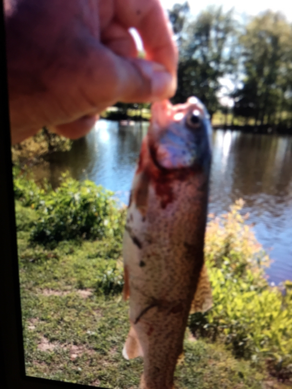 A photo of Marshall Gilliam's catch