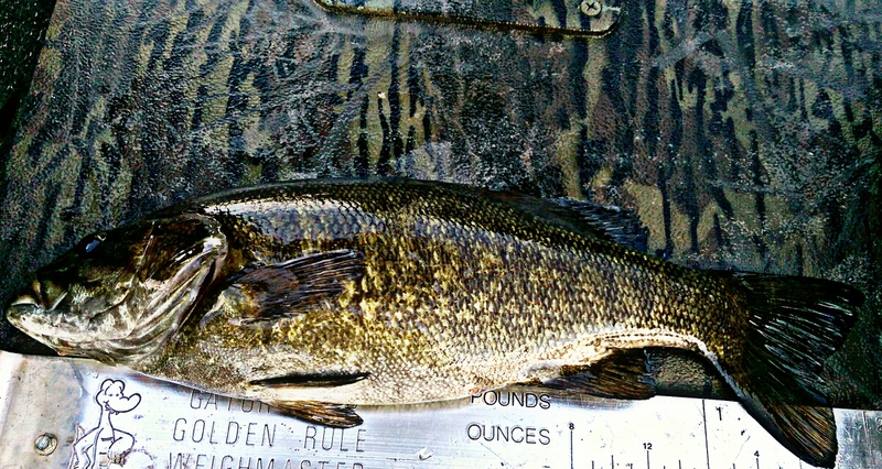 A photo of Mike Ott's catch