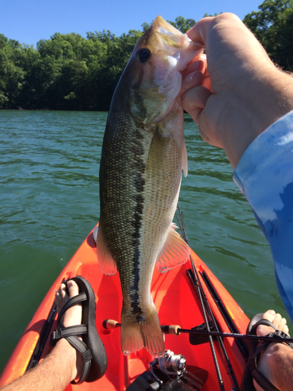 A photo of Austin Walling's catch