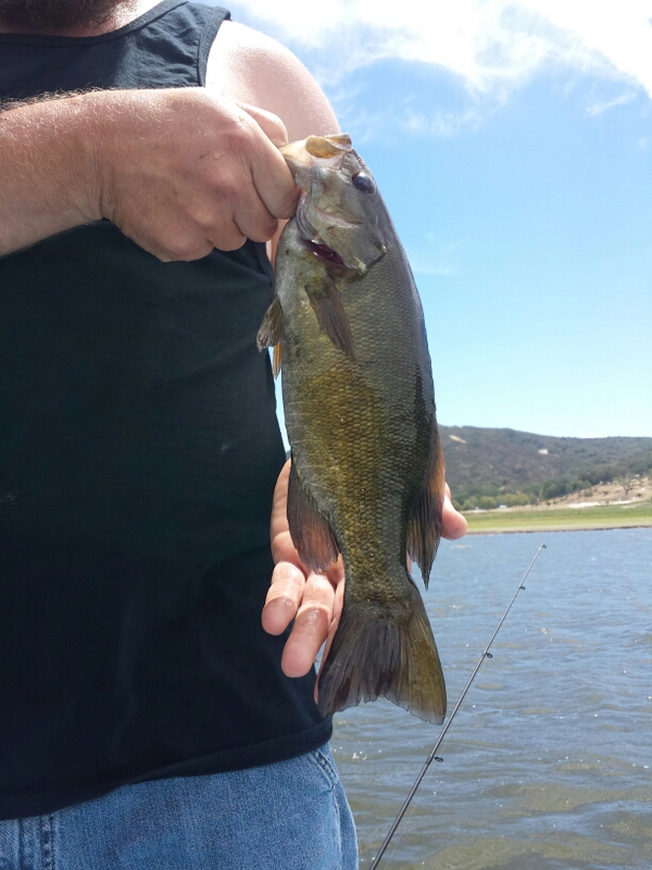 A photo of Tom McBrinn's catch