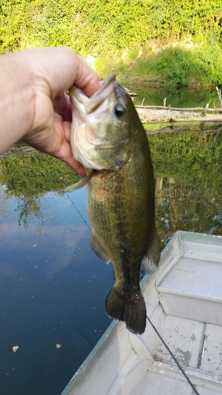 A photo of nate parr's catch