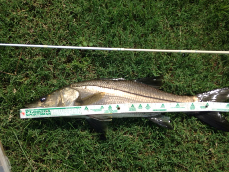 A photo of Jacob Wyrick's catch