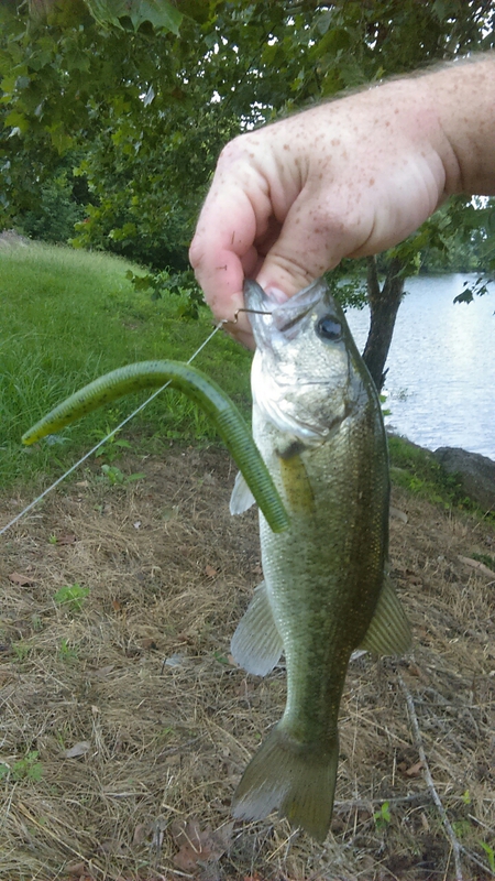 A photo of John Fletcher's catch