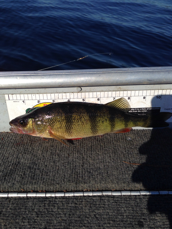 A photo of Patrick Schroeder's catch