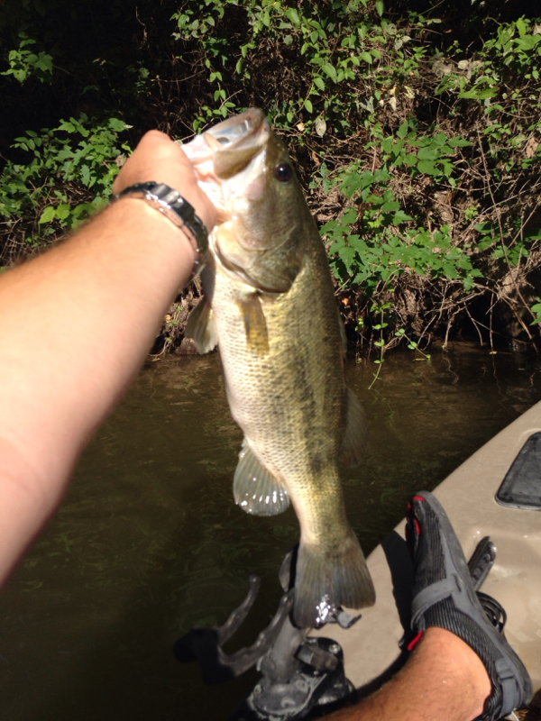 A photo of Cody Clinton's catch
