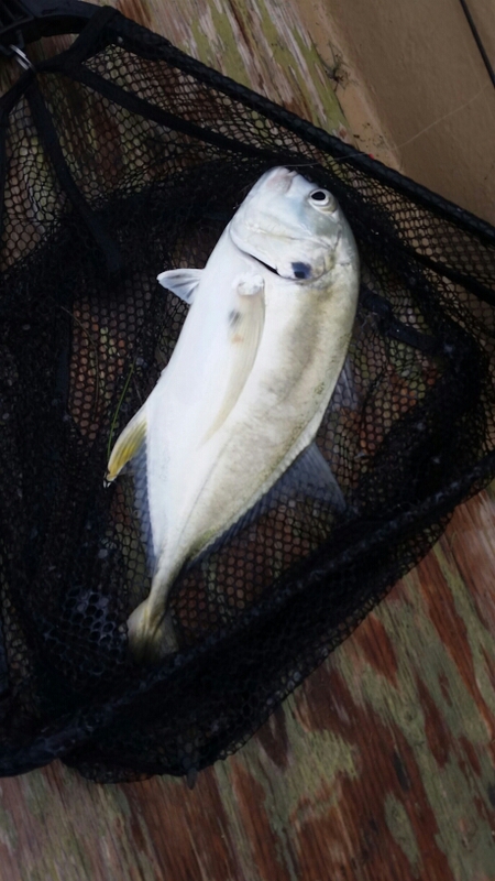 A photo of Tila and Tico  Pridgen 's catch