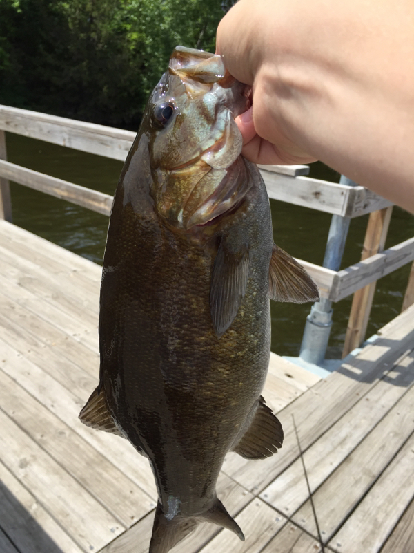 A photo of Jackson Erdmann's catch