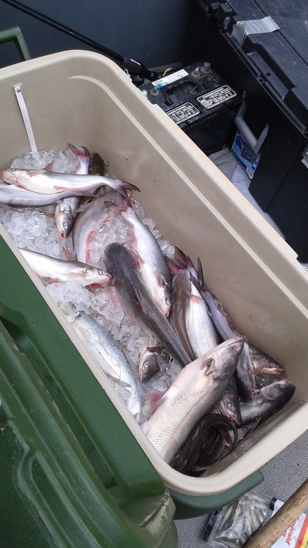 A photo of Jason Emrich's catch