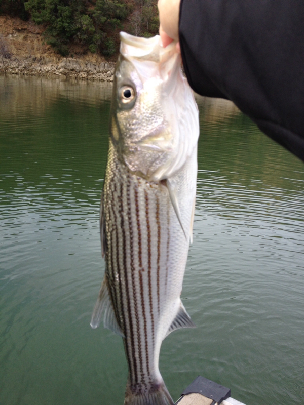 A photo of Mike Dozier's catch