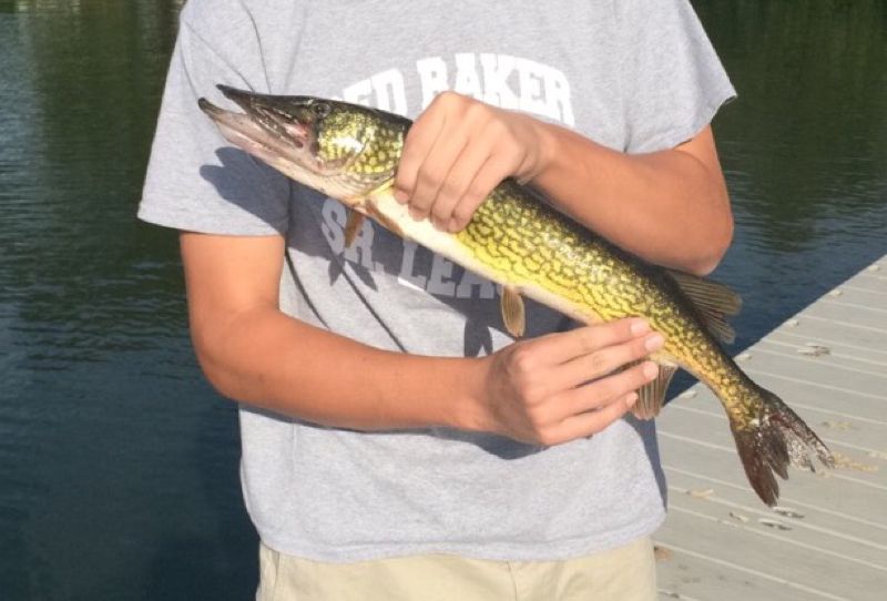 A photo of Jack Kovaleski's catch