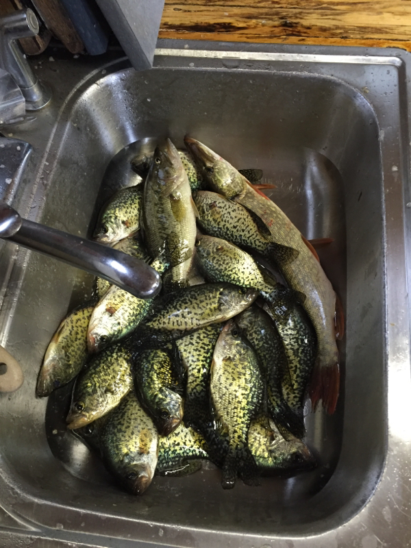 A photo of Scott Schulte's catch